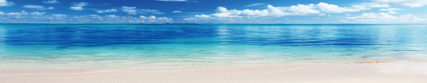 木村行政書士事務所